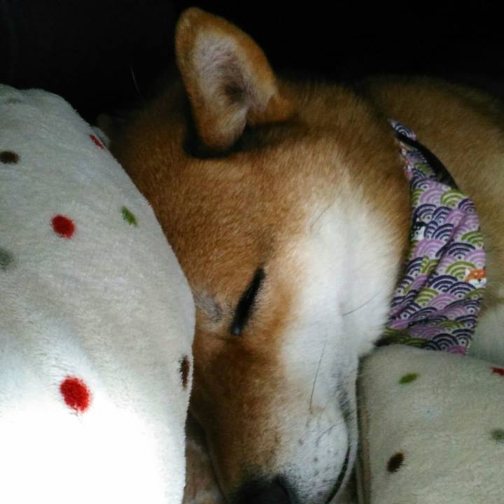 546dd7ea ad4d 42e1 abf7 d02f4ebc9144 1517059031498