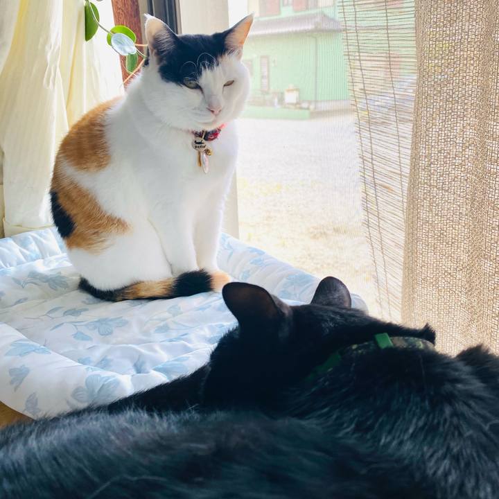 546dea56 3995 4975 aa25 fd1590d2743b 1717301609684