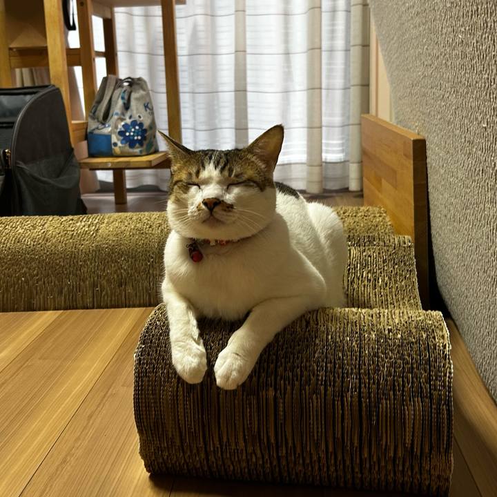 546df873 5e97 4f22 804b 89807d946cb0 1756419179816