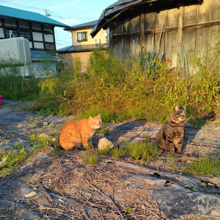 546e1644 c796 4b9a 8912 06a24de0fd36 1664696623716