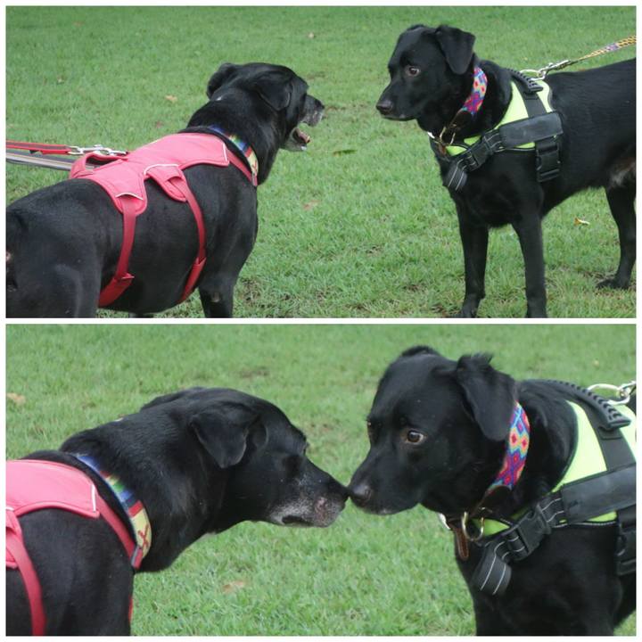 546e1f5c b0c6 4cac a642 caaf823f1c09 1692146532380