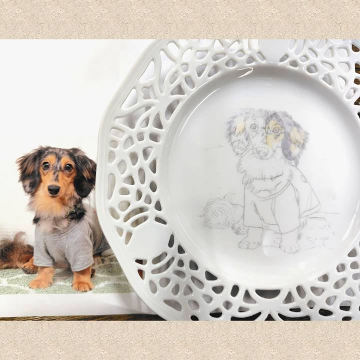 546e339c e95a 4a15 b4a1 3c0dc5c5f06c 1723678324582