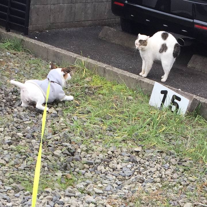 546e62d8 fc8b 4f22 b35a 5df939b40c73 1511572714479