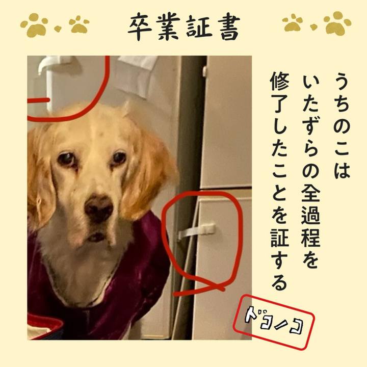 546e725a 5abc 4495 b8b5 2191d73d3a57 1771838610877