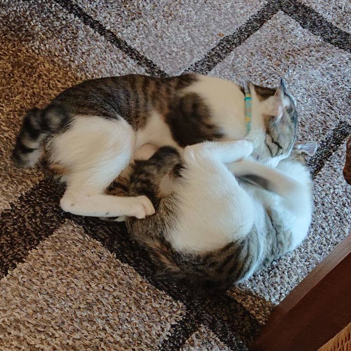 546eabf2 5eb0 4658 9700 31ff4b9104ea 1546481722214