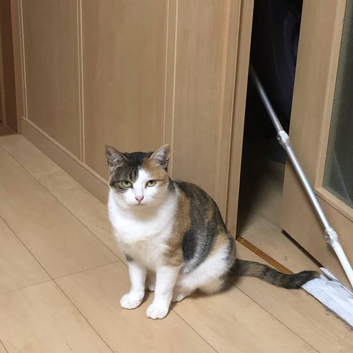 546edad1 7b5f 42b7 9eac 041916a8a669 1583144305065