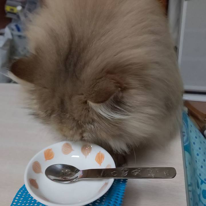 546ee0ef 6fd1 45da 8cdb f7324bcea456 1605311740358