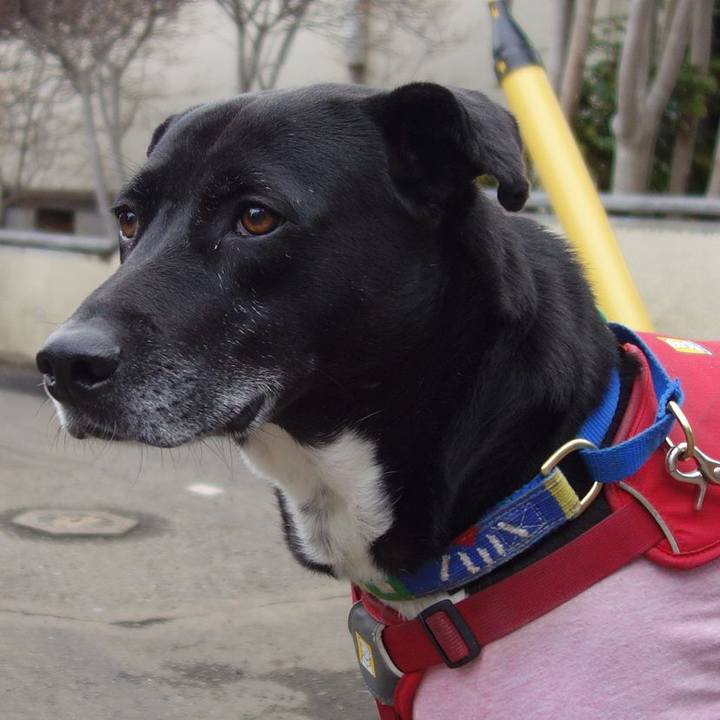 546efd9e 5fb4 422b b044 79305120ed6d 1673917315932