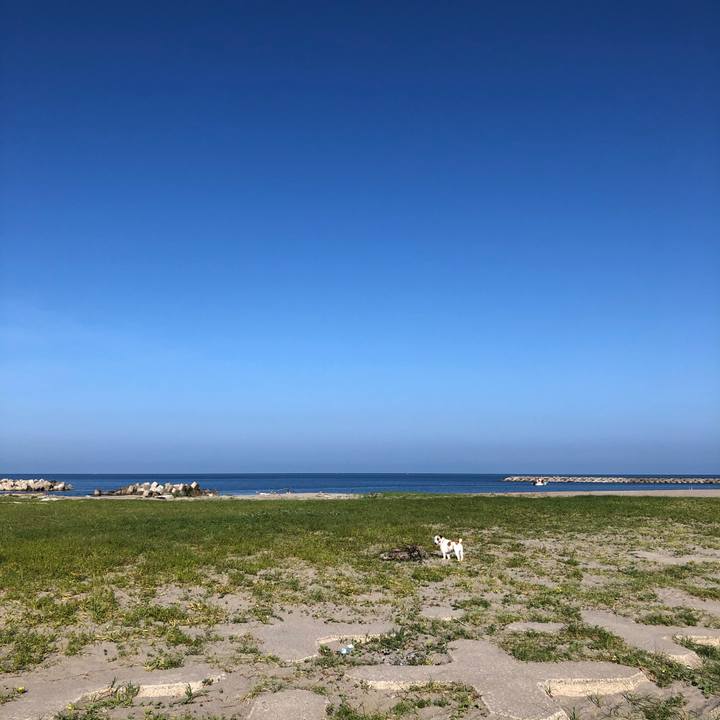 546f0fdf 9332 4c8a 96ae 28874236b10a 1597790679303