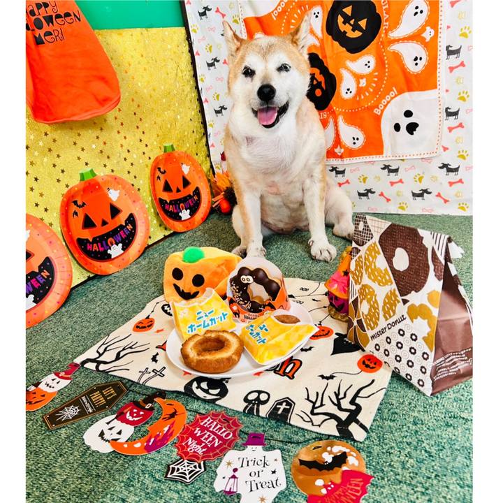 546f290e 249a 4606 bb05 7cd9f2ee3e63 1757308477162