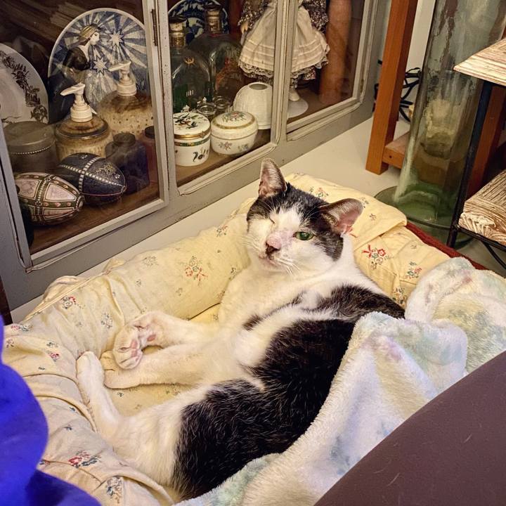 546f2f21 13f8 4c93 ad76 8a434b729384 1606312476217