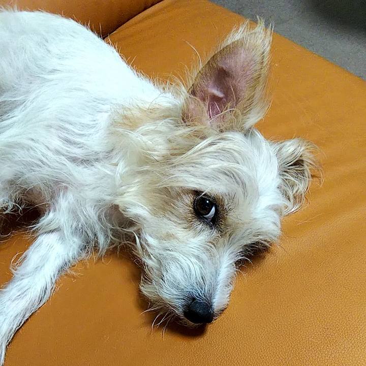 546f5e26 3665 4fba 8c96 c406987904af 1565178487882