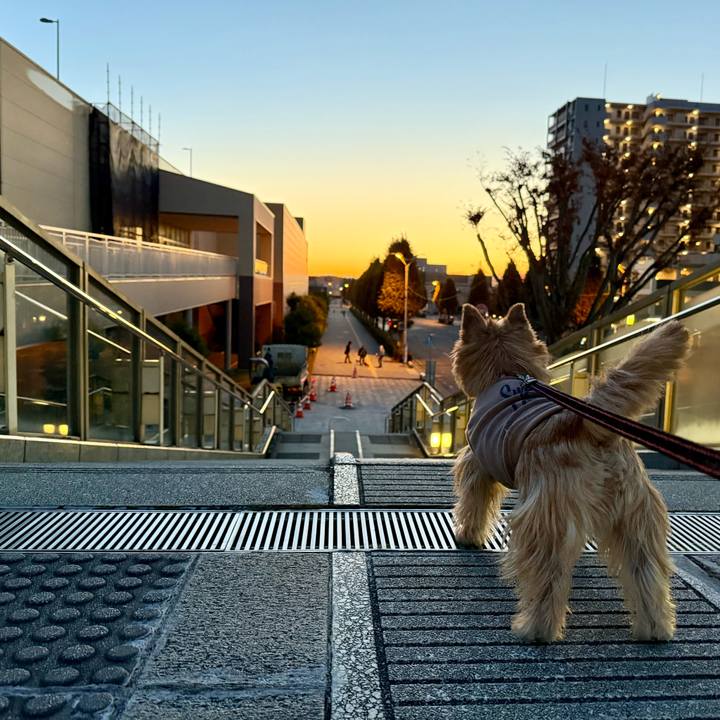 546f8efb 231a 4d40 a1f1 8d6b6410cae8 1763509191541