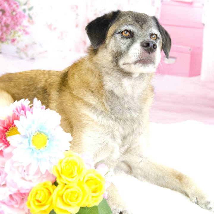 546fa5e5 67f5 41f1 af7f 42958bfde82d 1576397828037