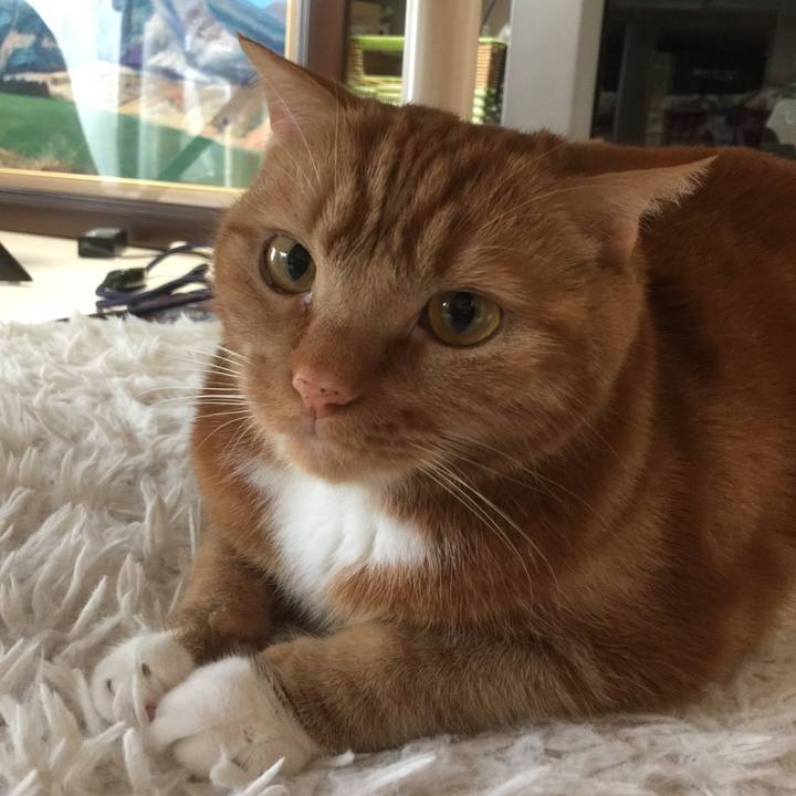 546fd5e4 dbb5 4c6a 8262 870c2d98b3d6 1585366387091