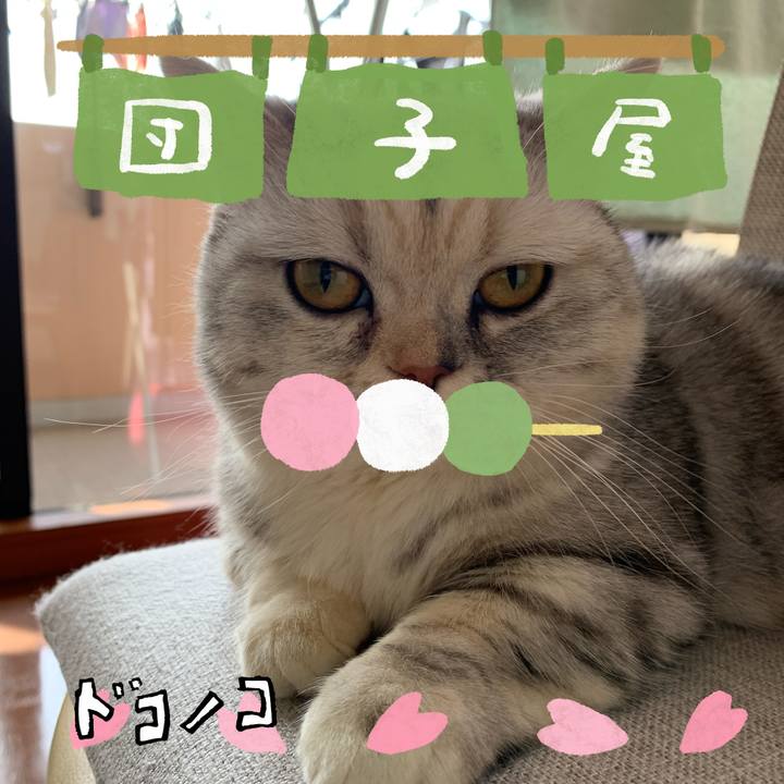 546fe38e 05b0 4035 93f4 bbb35e6b66a9 1712529080557