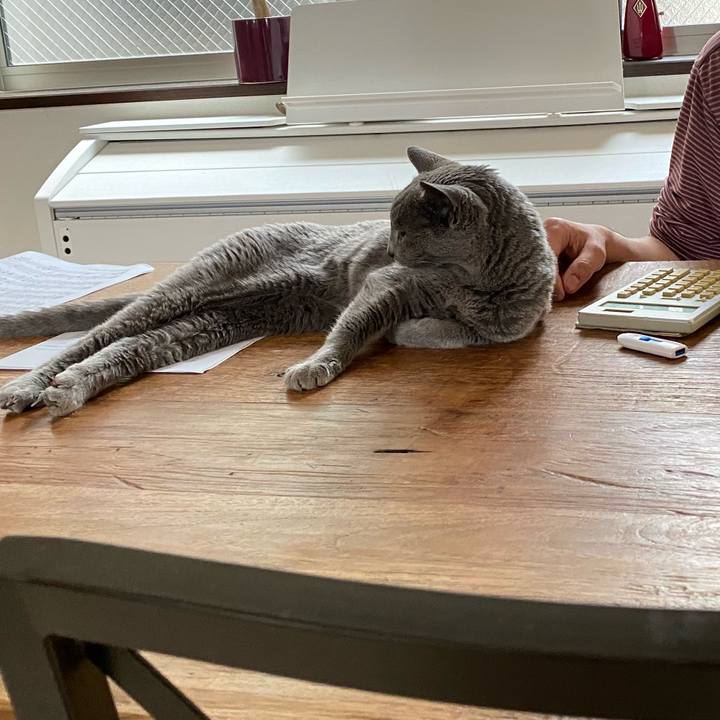 546ff3b1 3245 4b90 9ca3 9742f4037e1e 1591795079462