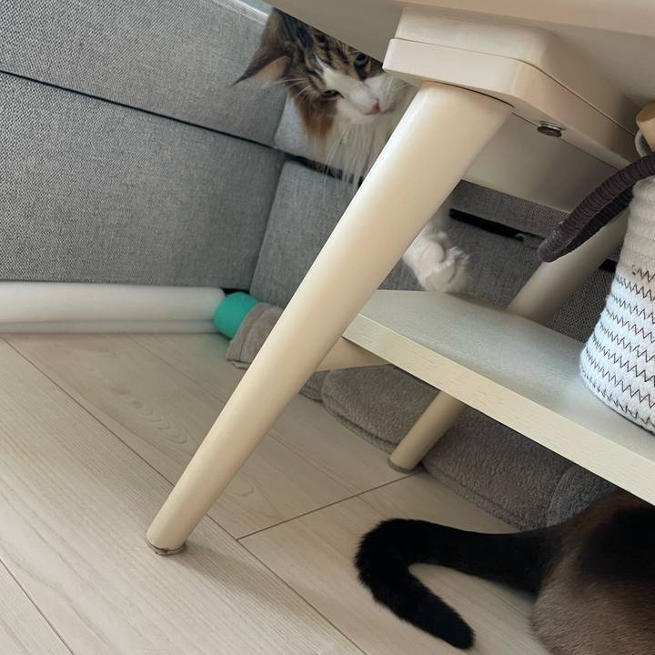 54705afd be0a 42e7 a16c 254cc7330afd 1749677973638