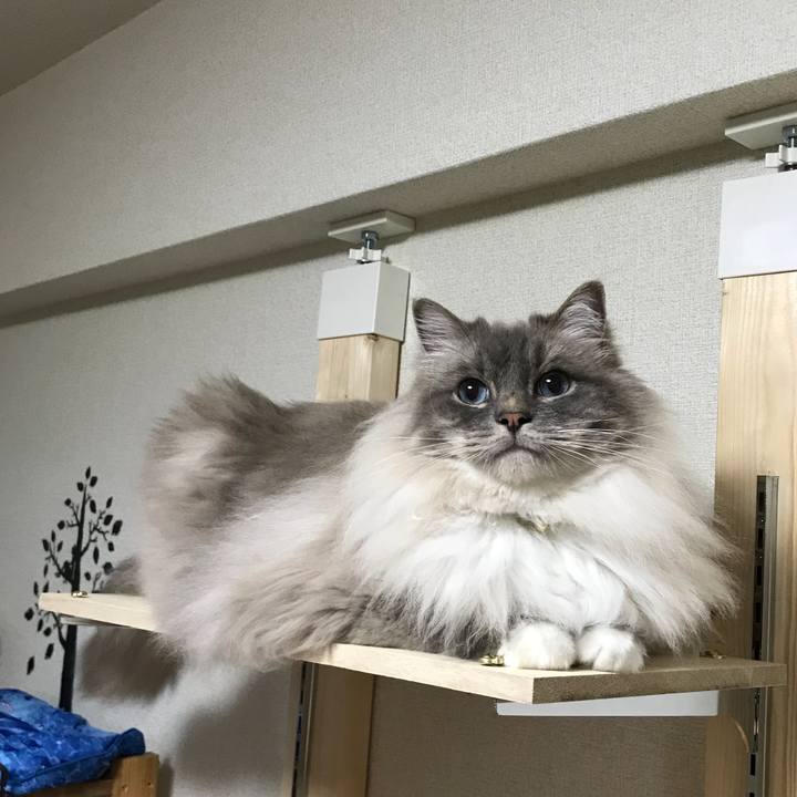 54707c2b 82ec 4664 9d8a 6427445181e1 1525155602326