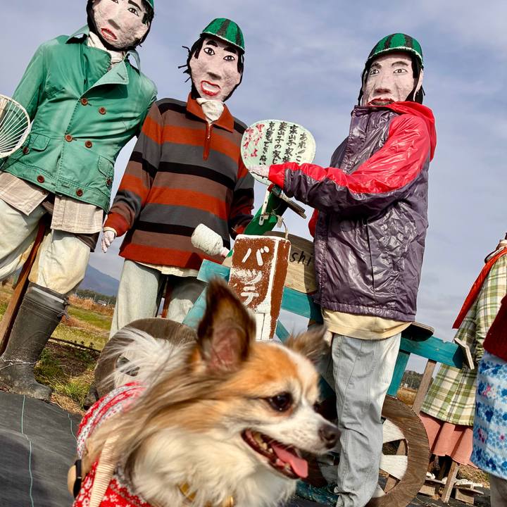 54708815 452e 487c 96d3 f8cc6e3d5206 1763876812793