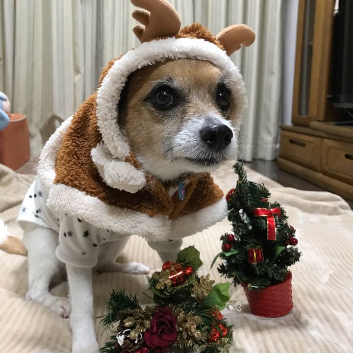 5470d500 f0de 4655 9c69 d818ee150fc9 1545577221556