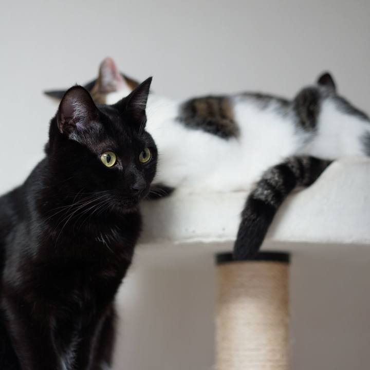 547122c8 fbe0 476e 8001 9a150b33f843 1547594664226