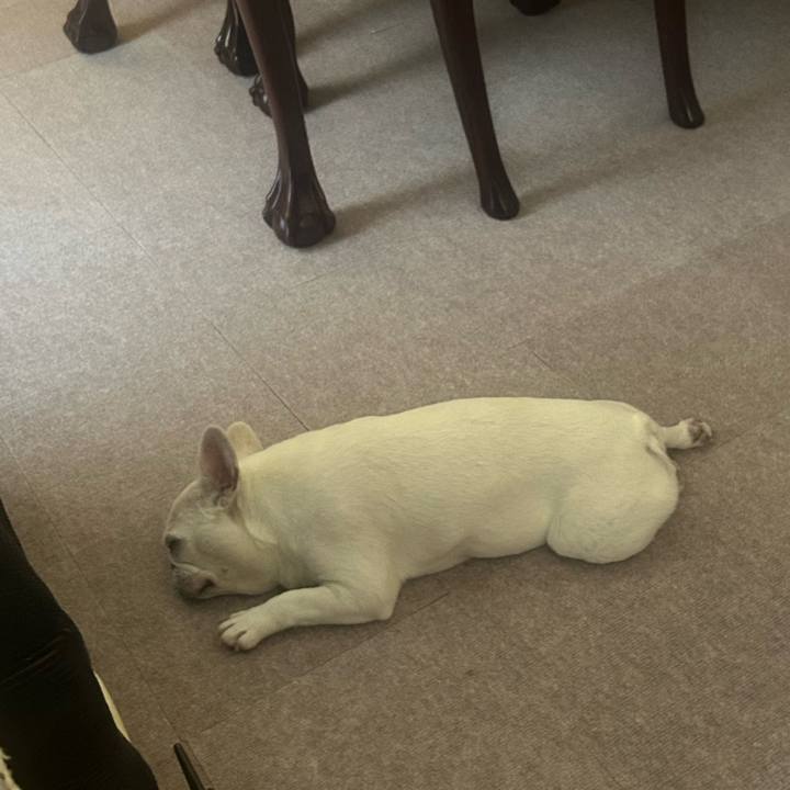 54715f7d 72a3 4b6b 8250 059865cc1771 1752976045410