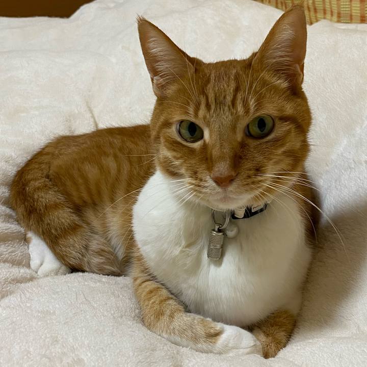 547179e2 a1d9 4245 bbc0 2852c9c019ed 1684658075411