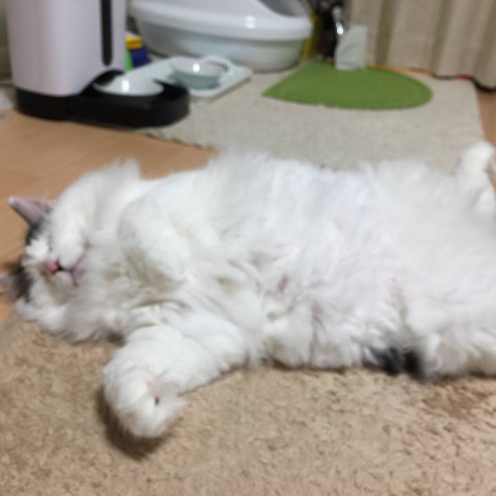 547183df ba85 4628 9f2d eed3a8d0784d 1531228876596