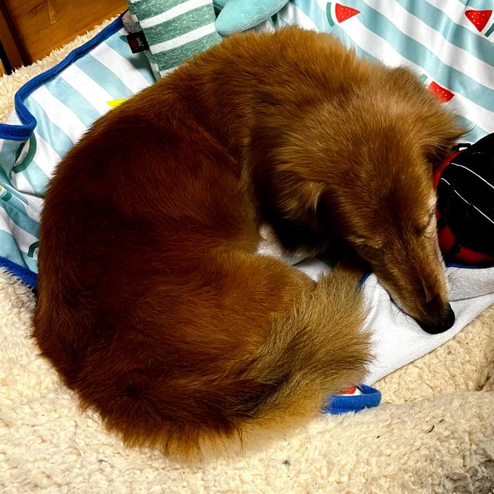 5471a49f 64d2 48fa a52e 9493e25ef5d4 1660651448548