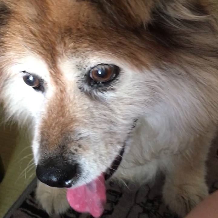 5471a619 278f 4813 9ff6 13d38bf7ced9 1594888993646