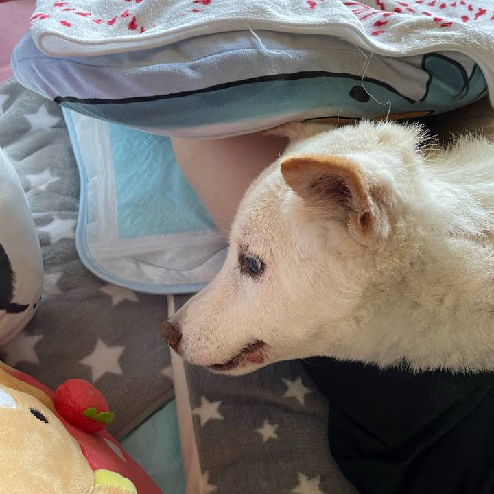 5471bc35 557c 4d61 959d bb129245e0e5 1684301750099