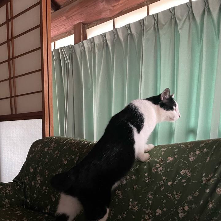 5471ceaf 4b75 41fe 8e7d aa52b83373ed 1679541552010