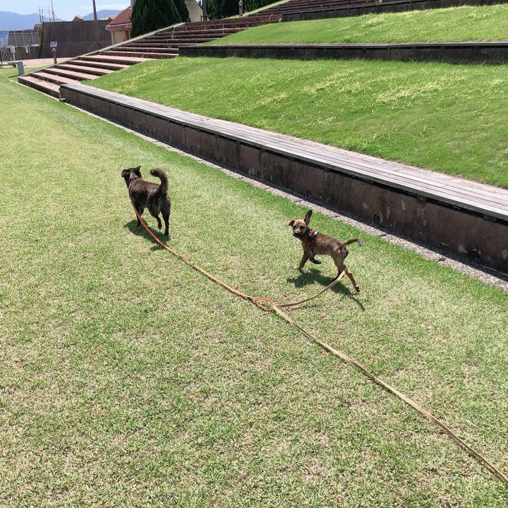 5471ec7b dc7b 4b27 b37f 5c160d8bf89b 1568012326953