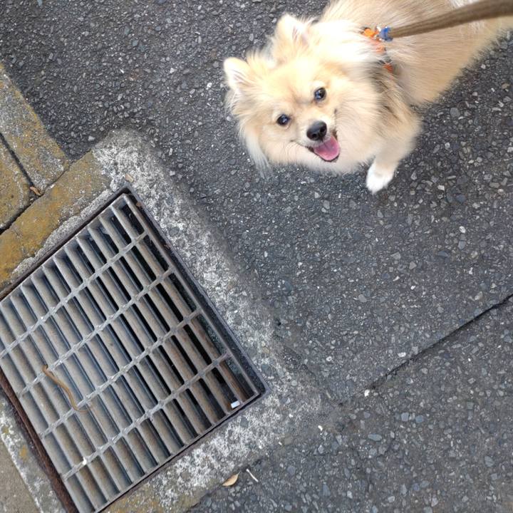 5471f000 fc75 442e bf61 082f9c0a8c75 1753484304274