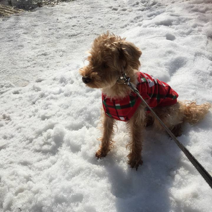 5471f9d8 e0d3 4e65 81fa efabb44bb9a5 1521942218032