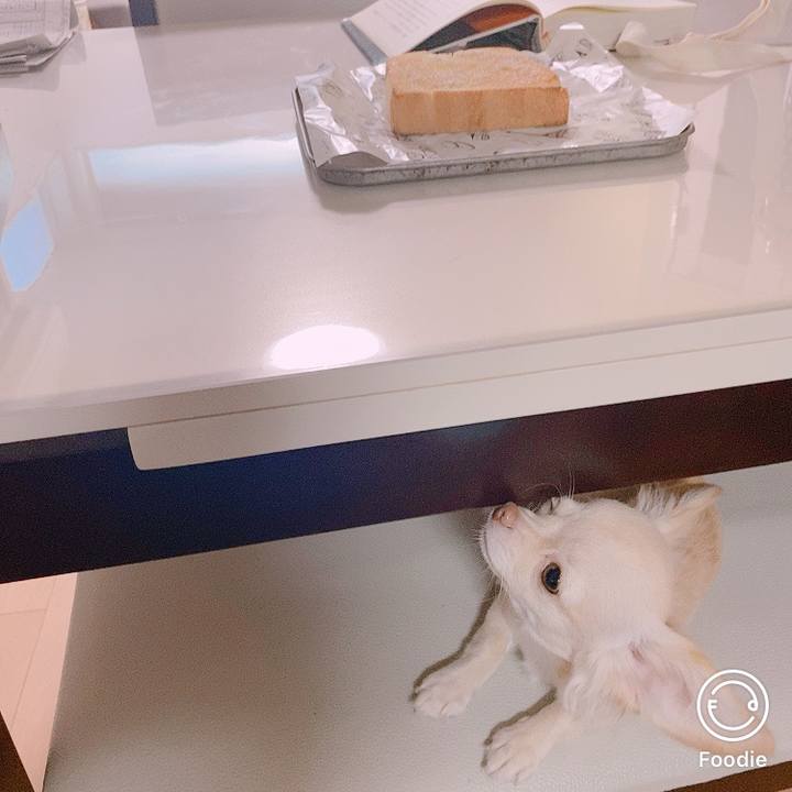 54721df4 9d2b 4bcf b7ce c5c1461163e9 1599554470864