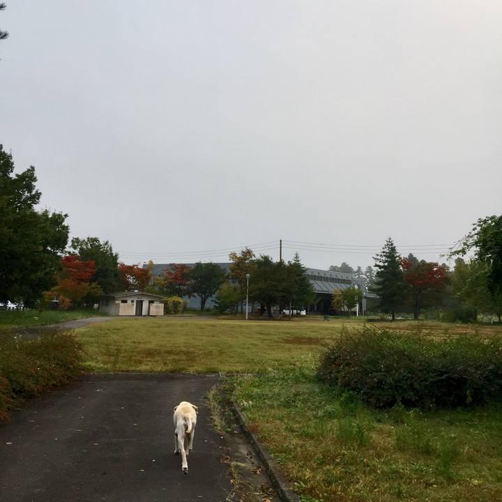 54723f08 2daf 4c30 ab76 c03ad47e8ea3 1508987853527