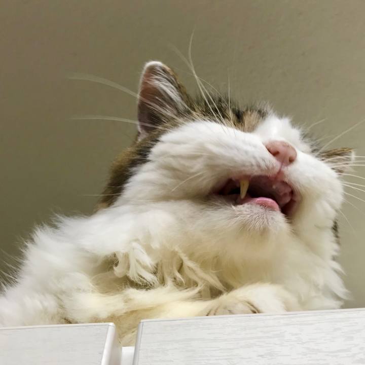 54727e9b 6440 4b3f a78e 5a3ecf31be3c 1631953531767