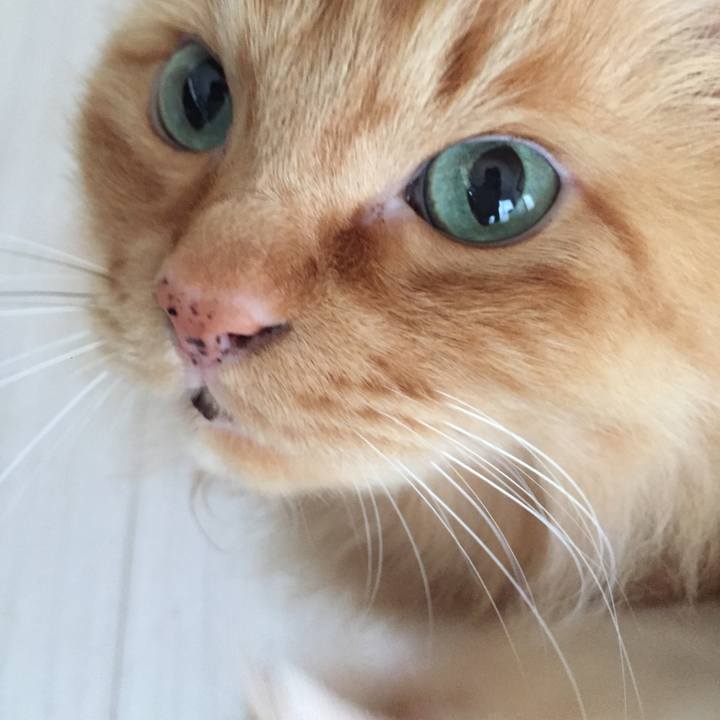 5473034d 5b63 40ea a826 a573bdfe4724 1554720363113