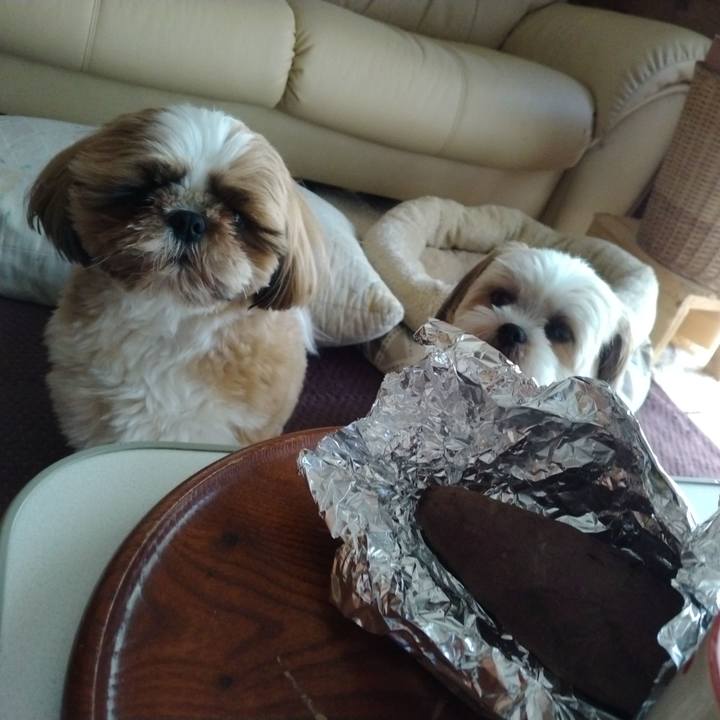 547308ad ba8a 4b18 ae8c d59d1c56b74b 1651463945055