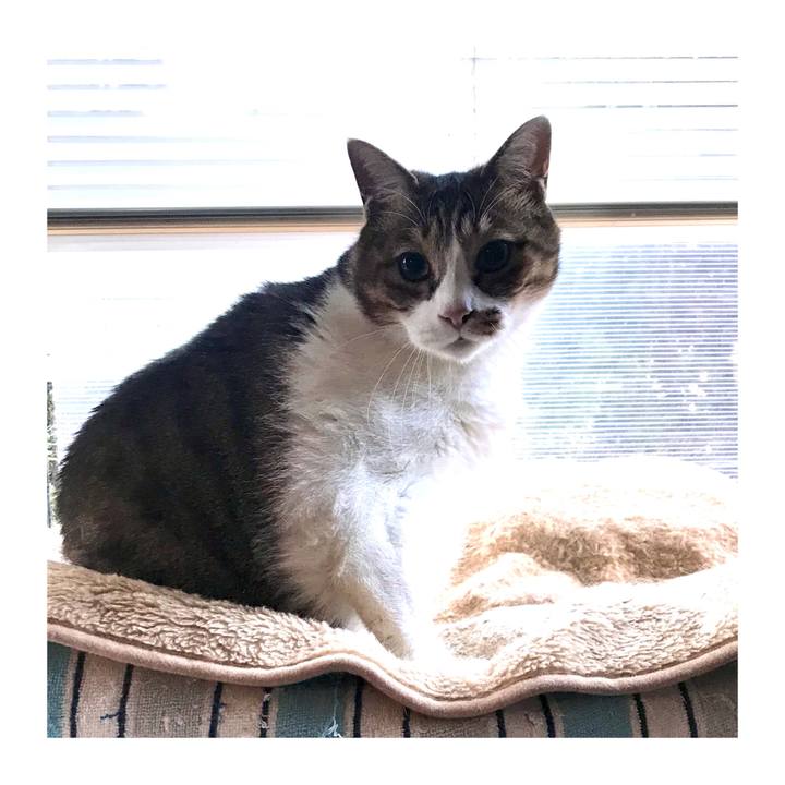 547359a2 1c6d 49dc 8321 0b1ac3f44659 1642810320649