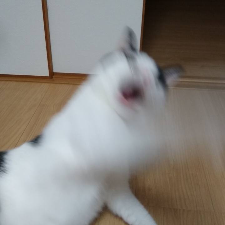 54736c70 a0f8 4044 9cdb d359eca937eb 1557314475488