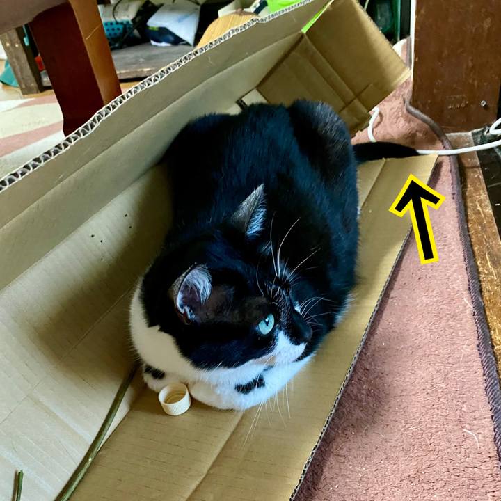 5473b512 83e8 4259 bb0f 57767019ce01 1621037851843