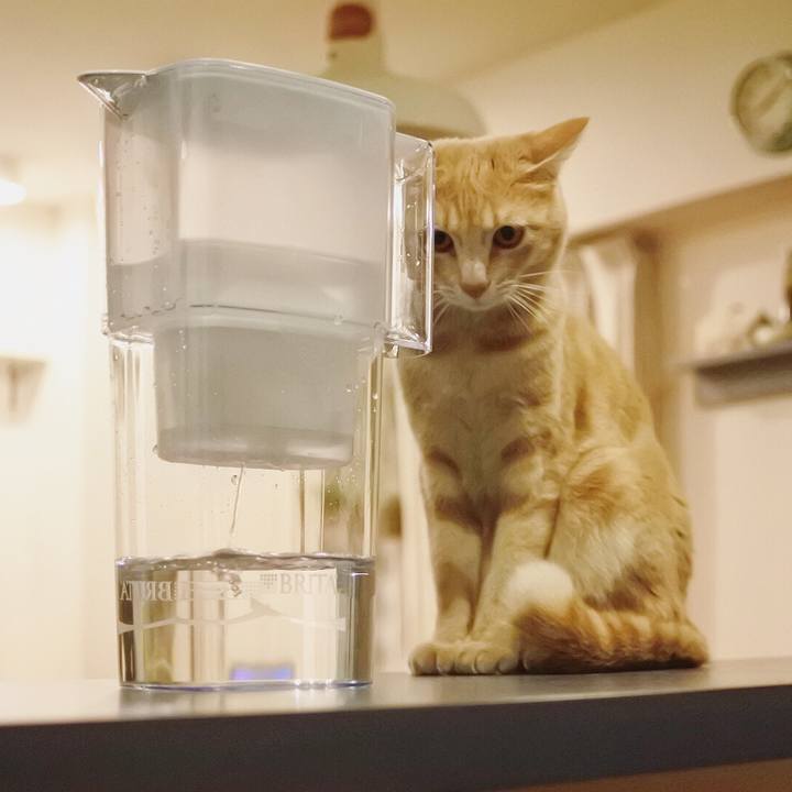 5473ce93 3007 43b1 ad11 a3b20767167d 1580994259494