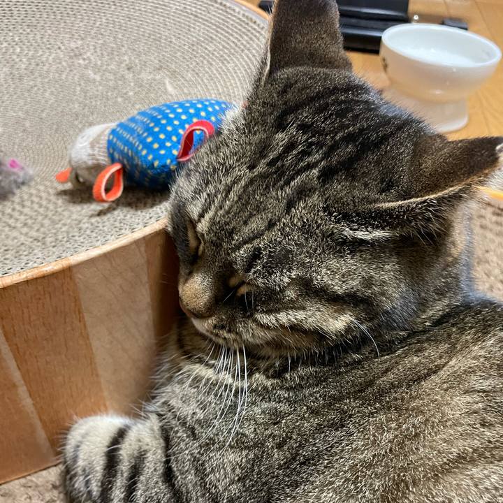 5473d026 0f50 4072 8be7 ec015bedc289 1646992973115