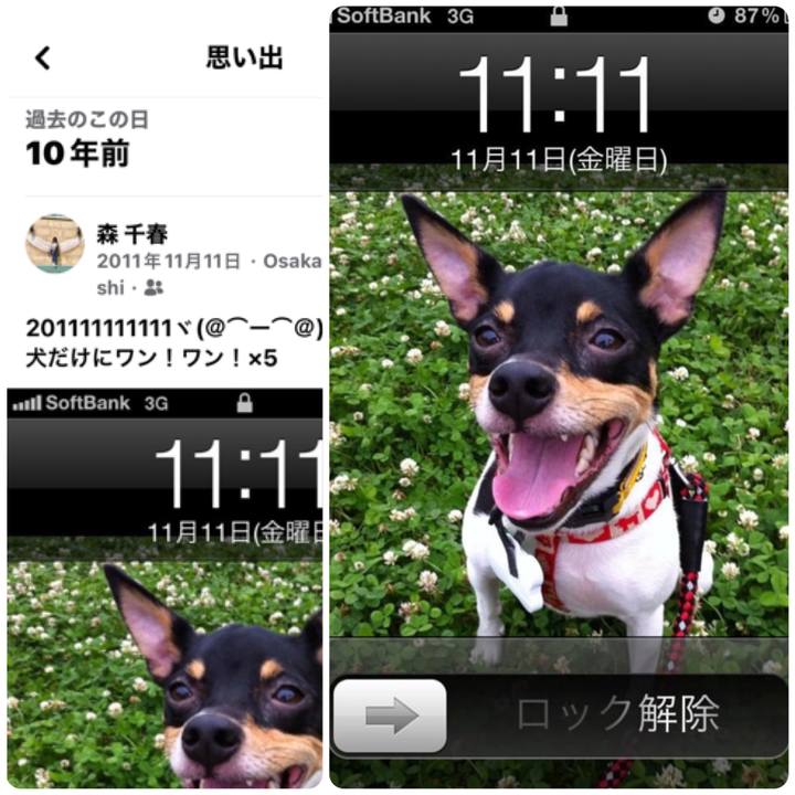 5473da6e 4b72 44c5 b61d e46d20de37df 1636711126187