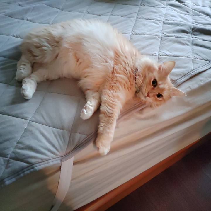 5473e8eb 06b4 498a 9a35 b0e1fb66457a 1693778304820