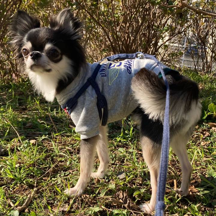 54741ceb aa4d 4d8a 9427 a25de0a25f8a 1638590352193