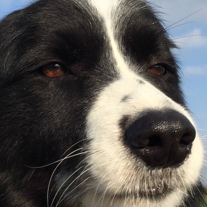 54747c93 26c6 429c a6a3 d04eef2b05d6 1524004518351